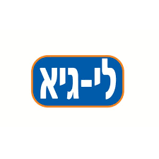 לי-גיא צעצועי תינוקות