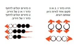 ⁦אבלון קלאסי – משחק אסטרטגיה⁩ – תמונה ⁦2⁩