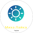 Михаил Лайкин profile picture